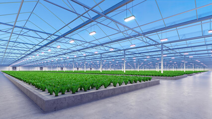Big industrial greenhouse interior. Hydroponic indoor vegetable plant factory. Green salad farm. Concrete floor. 3D render