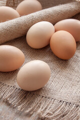Organic eggs on the sackcloth