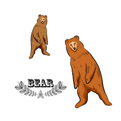 Colorful sketch of standing up bear. Surprised or afraid.