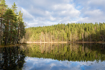 Fototapeta na wymiar View of The Haukkalampi pond in autumn, Nuuksio National Park, Espoo, Finland