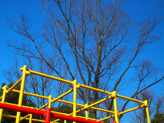 冬の公園のジャングルジムと枯れ木の欅