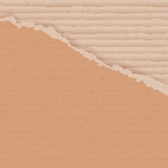 Corrugated brown cardboard background with torn peace