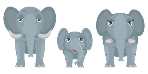 Elephant family front view. African animals in cartoon style.