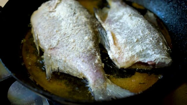 Food photography of a snapper fish being cooked in a non stick fry pan on a stove in a kitchen setting. freshwater fish fried in a pan.