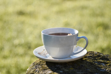 Hot tea cup on a frosty winter day put on big stone table with background of front garden in morning.