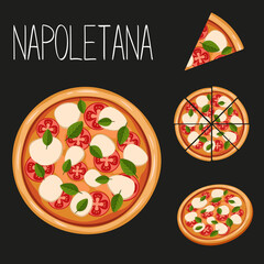 Pizza in neapolitan style vector illustration. Set of pizza slices and circle
