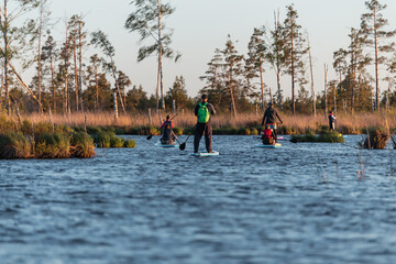 Group of people enjoy doing SUP stand up paddle boarding at sunset in lake. Summer evening activity