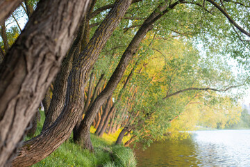 spring in the garden