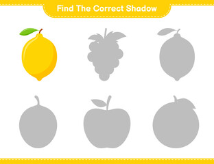Find the correct shadow. Find and match the correct shadow of Lemon. Educational children game, printable worksheet, vector illustration