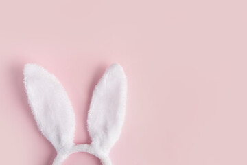 Easter bunny ears isolated on pink background with copy space