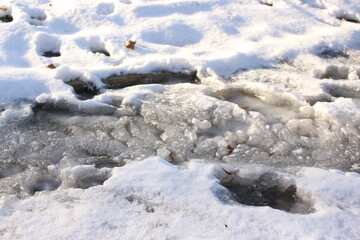 
Melted snow froze in the cold in bizarre shapes