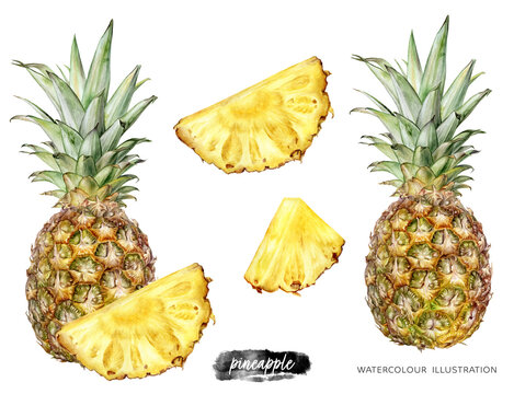 Pineapple set watercolor illustration isolated on white background