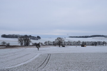 Sumpflandschaft im Schnee