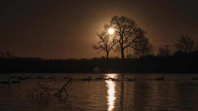 Winter Morning Riverside Sunrise with Ducks (Nottingham)
