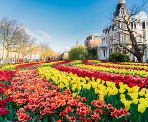 One of canals in Amsterdam