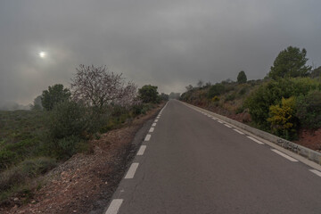 Fototapeta na wymiar Carretera en la niebla