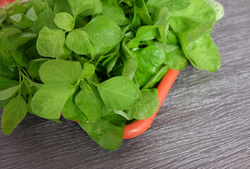 Closer look of fresh and raw spinach.
