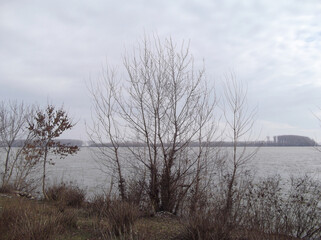 Obraz na płótnie Canvas Nature background , loneliness , river , winter .