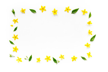 Obraz premium Frame of yellow flowers with leaves. Wreath of wild spring flowers