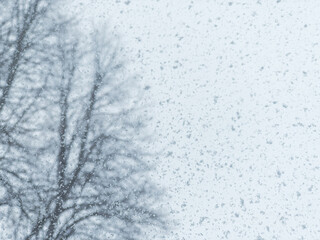 Winter Snow and Ice Covered Glass Window with Trees in Background