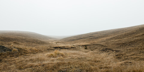 View of the misty meadow in the winter morning