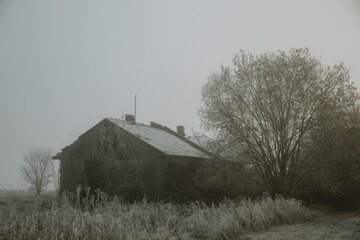 Old abandoned ruined house next to the tree during freezing foggy morning