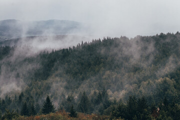 Evapotranspiration over Czech forests. Evaporation of water from spruce forests near Liberec. loss of water as vapor from leaf vents. Lungs of the Czech healthy air. Liberec forest