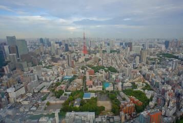 Tokyo aerial taken from Roppongi Hills building.
