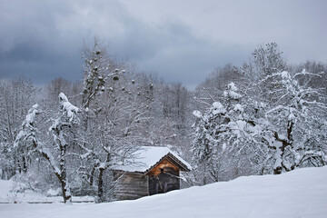 Chalet de montagne au milieu de la forêt enneigée en hiver. Paysage de neige hivernal des Alpes françaises sous un ciel gris et nuageux d'orage.