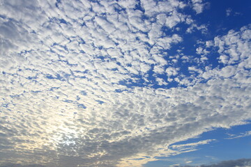 空とひつじ雲【国内・千葉県】