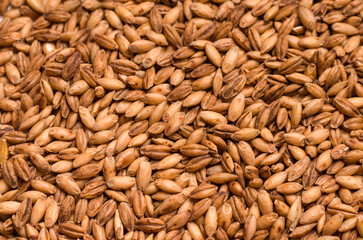 Grain grain texture close up