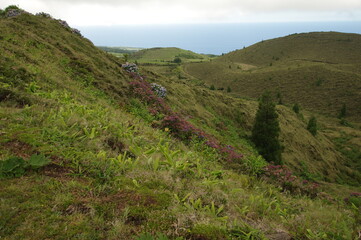 Obraz premium Azores islands, natural landscapes in Sao Miguel