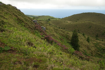 Fototapeta premium Azores islands, natural landscapes in Sao Miguel
