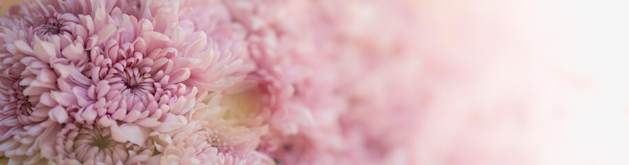 Nature of flower in garden using as cover page background natural flora wallpaper or template brochure landing page design