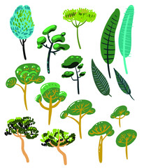 Set, group of different types of deciduous and coniferous trees (exotic, Mediterranean) for design, patterns, textiles. Vector illustration.