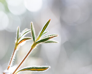 キラキラした冬の景色