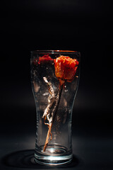 dry flower in a tall glass