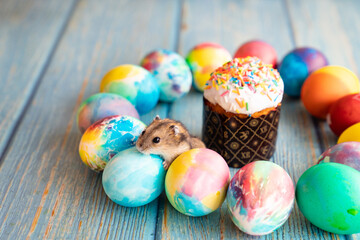 Easter decorated eggs and mouse on turquoise wooden background.a traditional holiday treat.