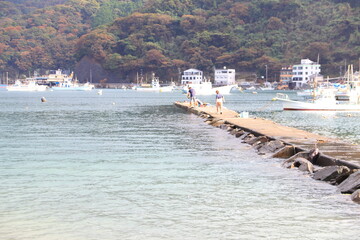 御浜海水浴場【国内・静岡県】