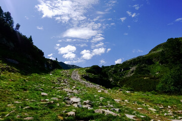 Fototapeta na wymiar stony hiking trail while walking in the mountains in the summer