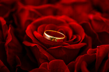 Wedding ring. Love concept. Red rose background. 