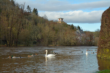 nahe-hochwasser bei bad kreuznach, Februar 2021