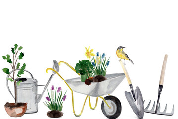 Garden spring composition with watering can, wheelbarrow, seedlings, shovel, rake, titmouse. Template for decorating designs and illustrations. © Екатерина Голоднюк