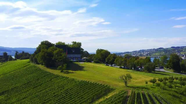 Aerial photography of the vineyard by the Lake Zurich, beautiful landscape in Switzerland, panoramic view of lake and town on the shore
