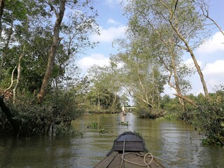 Green and lush backwaters of the river Mekong with a dettail of a wooden row boat