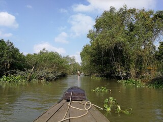 Green and lush backwaters of the river Mekong with a dettail of a wooden row boat