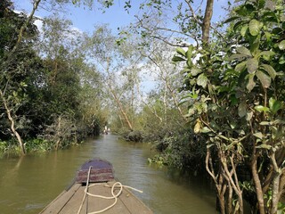 Green and lush backwaters of the river Mekong with a dettail of a wooden row boat