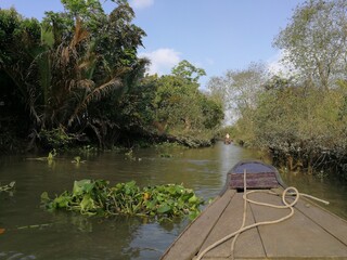 Green and lush backwaters of the river Mekong with a dettail of a wooden row boat