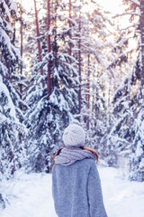 Women is walking in the snowy forest with beautiful sunlight in tree branches in February in Latvia