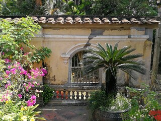 Old wall with exotic flowerrs in front of it